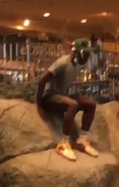 Guy jumps into large fish tank at store