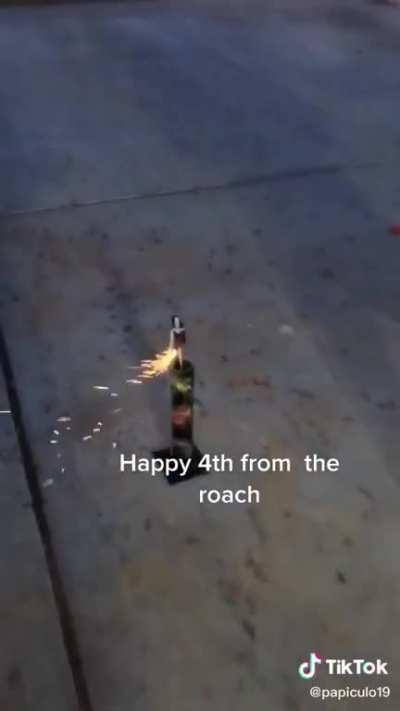 Save our roach brother