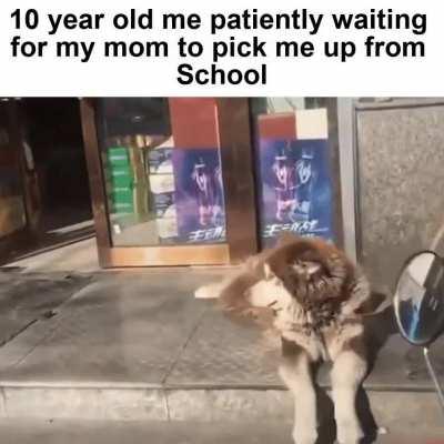 She also brought me a cupcake