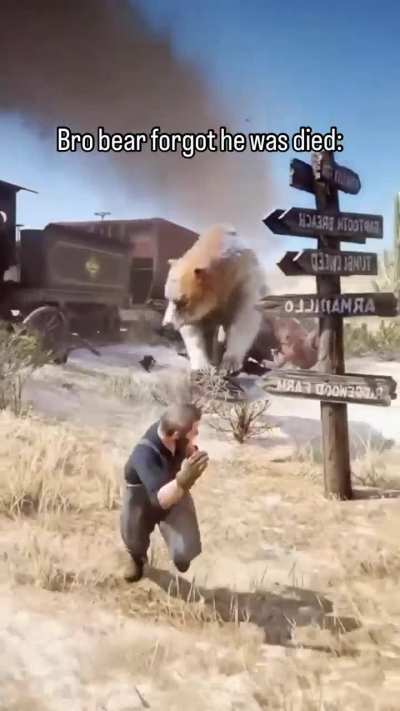 Scared the life out of the bear