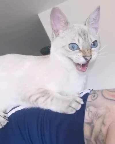 I dunno what she saw, but I'm glad I didn't...