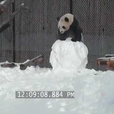 To stay on the snowman