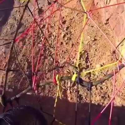 They're Up There And They Go Through That.