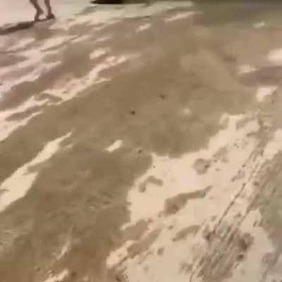 Ты сделаешь так?