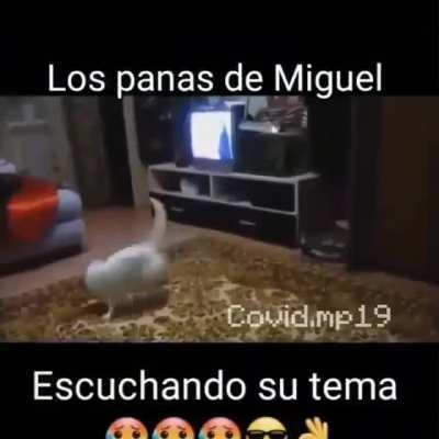 Se les ve bastante frescos bailando la verdad 😳👉👈