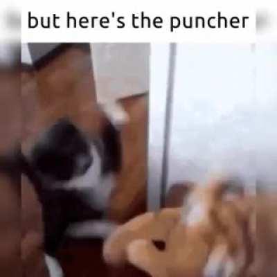 Bots, what do you think of Botswana