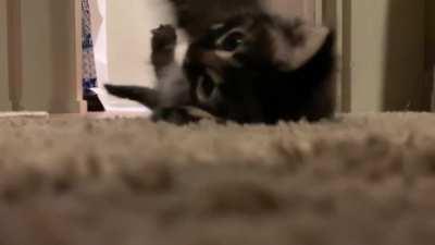 Feeling cute, might delete later