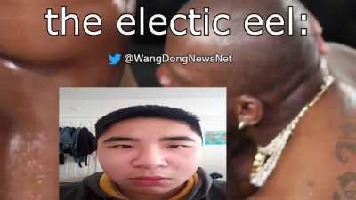 JellyBean responds to hate