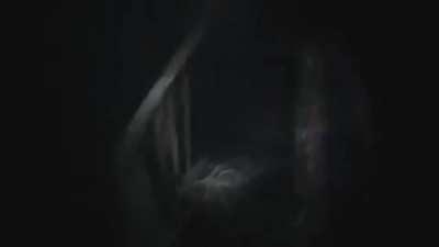 You wanna fight!! (parashockX)