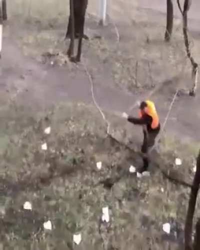 The butterfly effect