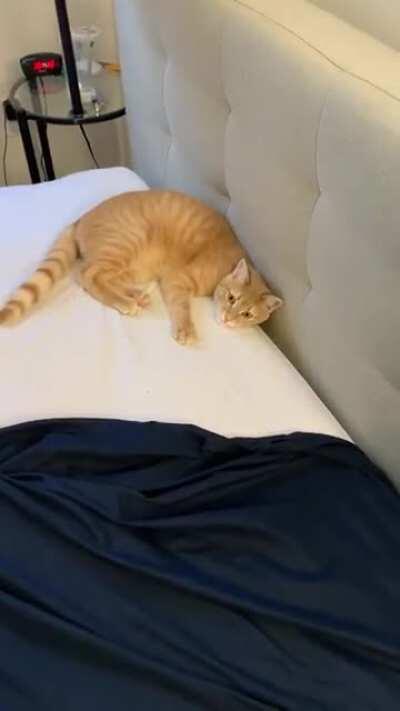 A whole apartment yet this is where you need to be when I’m trying to change my sheets