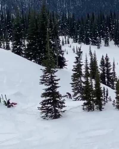 Swinging at the top of a tree