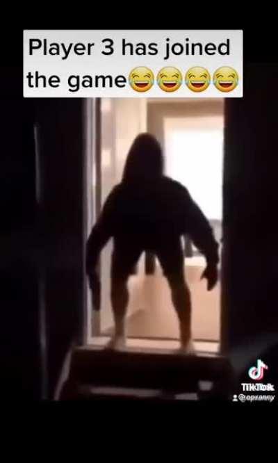 Socks and blaza and then fatmemegod joins the game