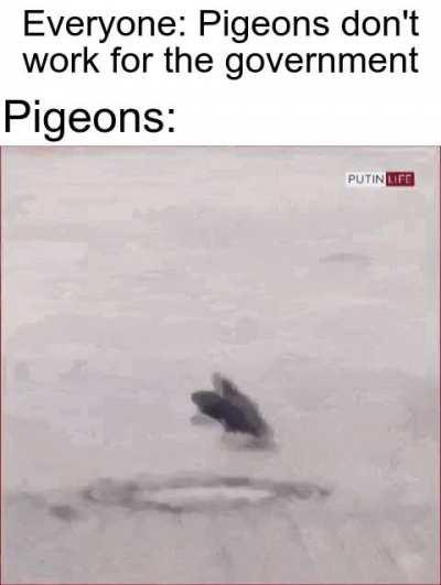 Suspicions confirmed