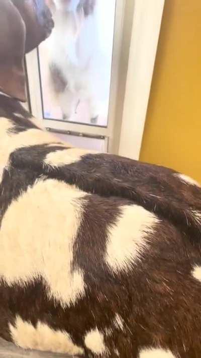 The two at the back were flabbergasted