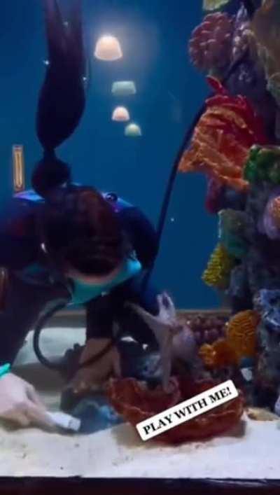 Working with an octopus be like..