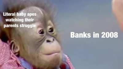 This is far from over 🦧