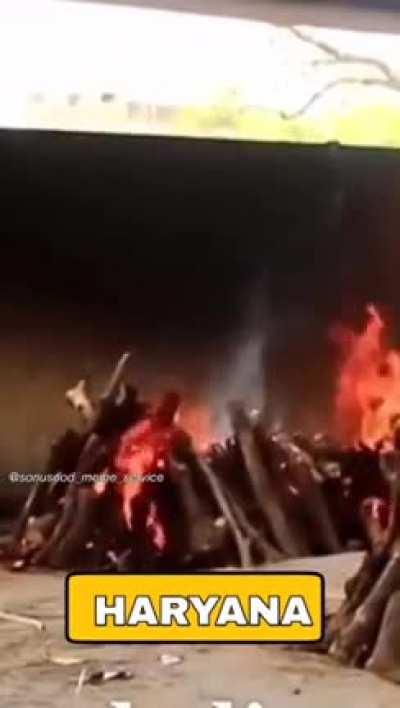 Haryanvi men keeping the grindset alive 😏😎