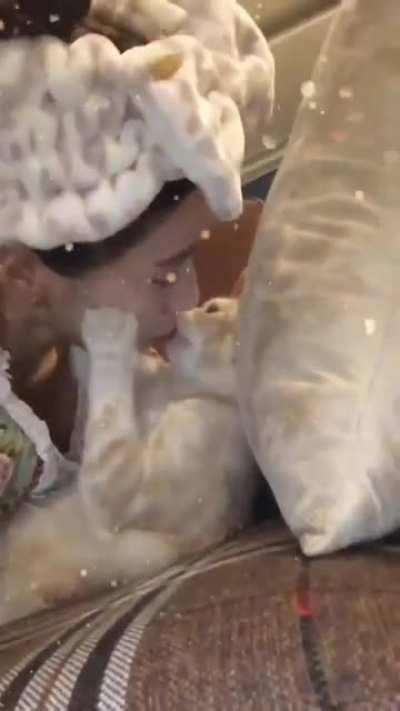 does your cat hold and kiss you like this?