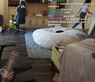 Clips from January 22nd, 2019