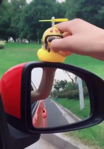 Born to be wild. ''Purely duckorative.''