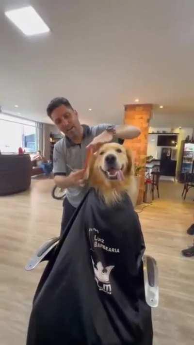 Came to the barber in a great mood