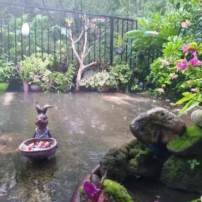 For all the booboos out there.