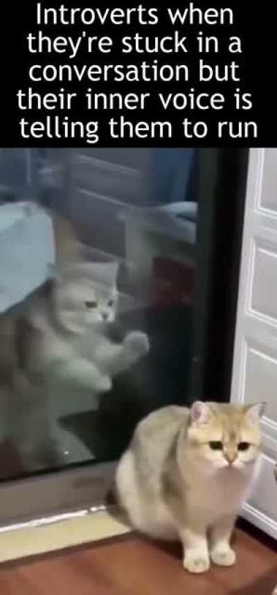 Move your legs already