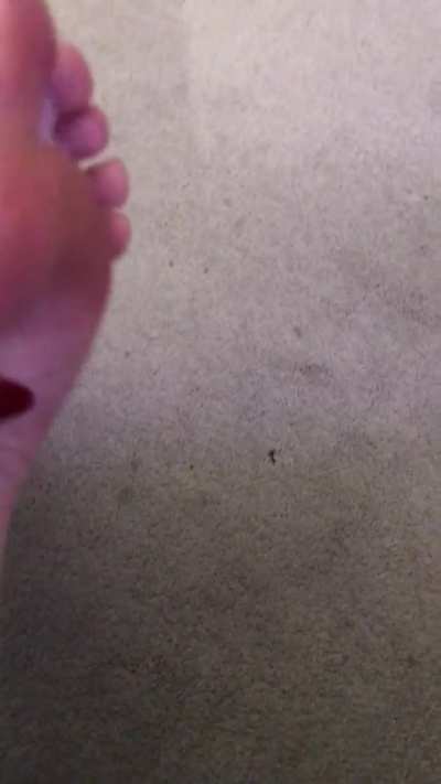 About to take a shower but had to share my sweaty feet