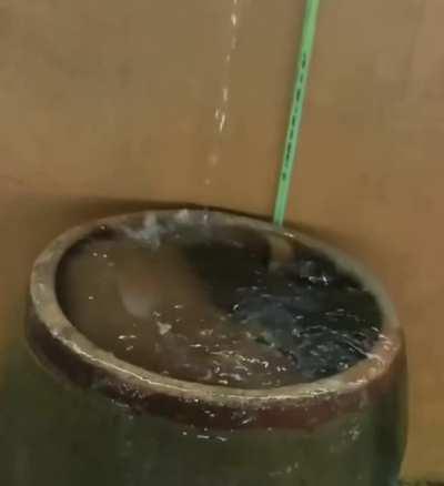 Dip in the pool to cool me down