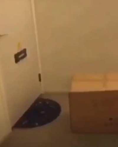 the right decision. What are you think?