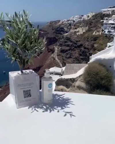 Pia Wurtzbach cleavage