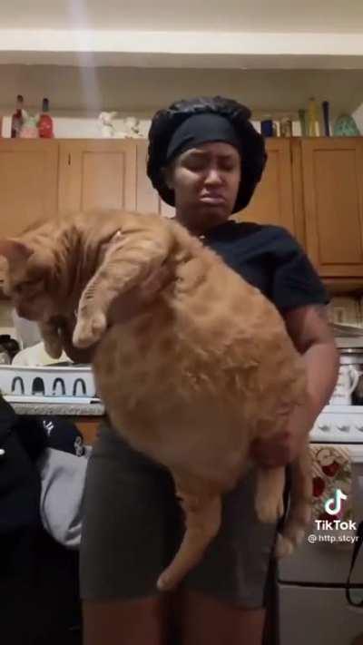 Chonk looks like a balloon lol