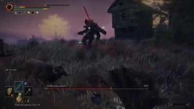 Goats really hate me..