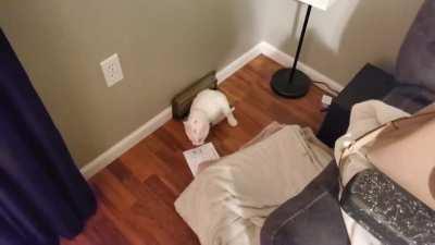 Impostor é visto saindo do vent