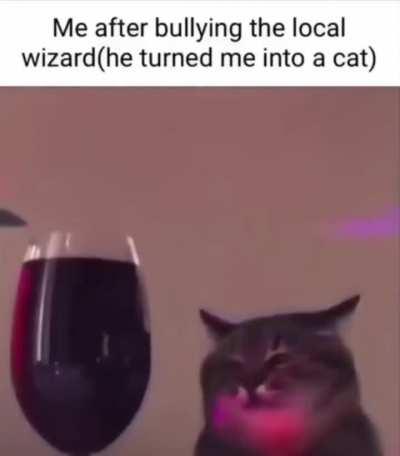 Fellow wizards, what next