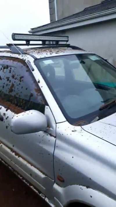 Is it truly your work, buddy?