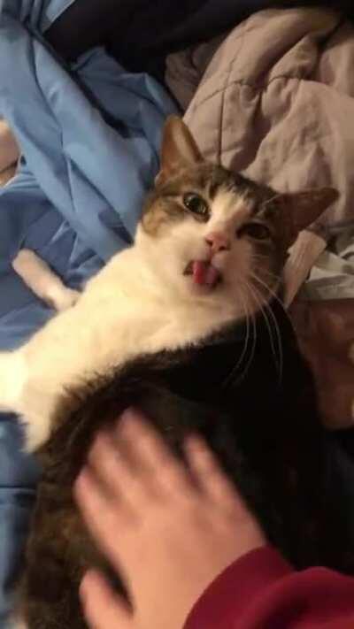 she makes this face every time i pet her