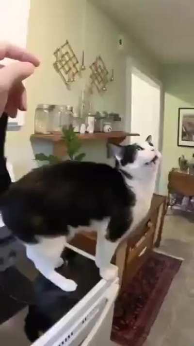 Reminder to service your Wunks monthly