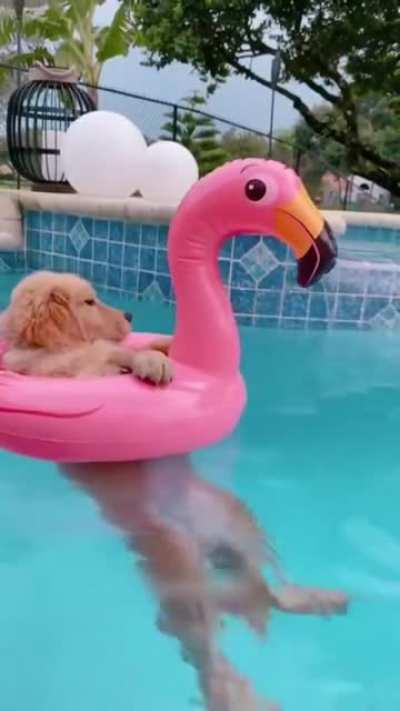 We all need to chill.