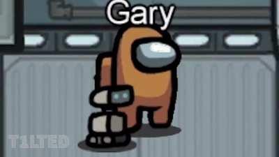 Your Pet When You Die In Among Us