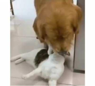 Make sure you get all the facts before judging a situation.