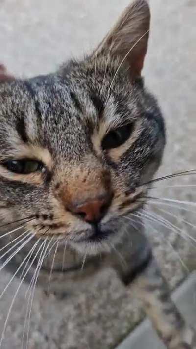 We haven't seen each other in two months