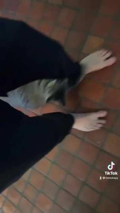 Left my standard stranded for less than 2 days with 4 bowls of food, 4 bowls of water and a clean litter box….