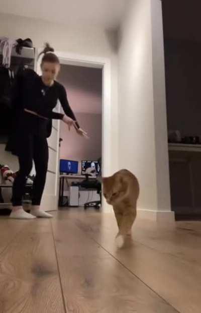 Let me show you an exercise