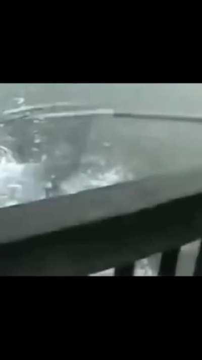 Reeling in a Nice Little Fishie