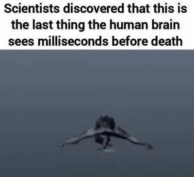 The brain is a mysterious thing