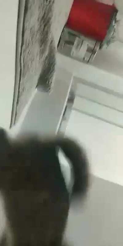 Bonk applied (with 🔊)