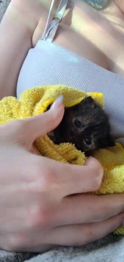 2 weeks old little girl 💘