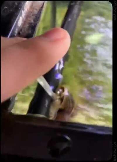 how to be annoying with only 2 brain cells